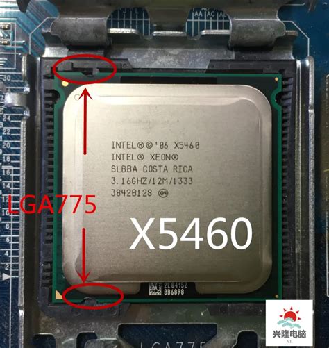 mainboard socket 775|LGA 775 Socket – Complete CPU List (incude Xeon processors).